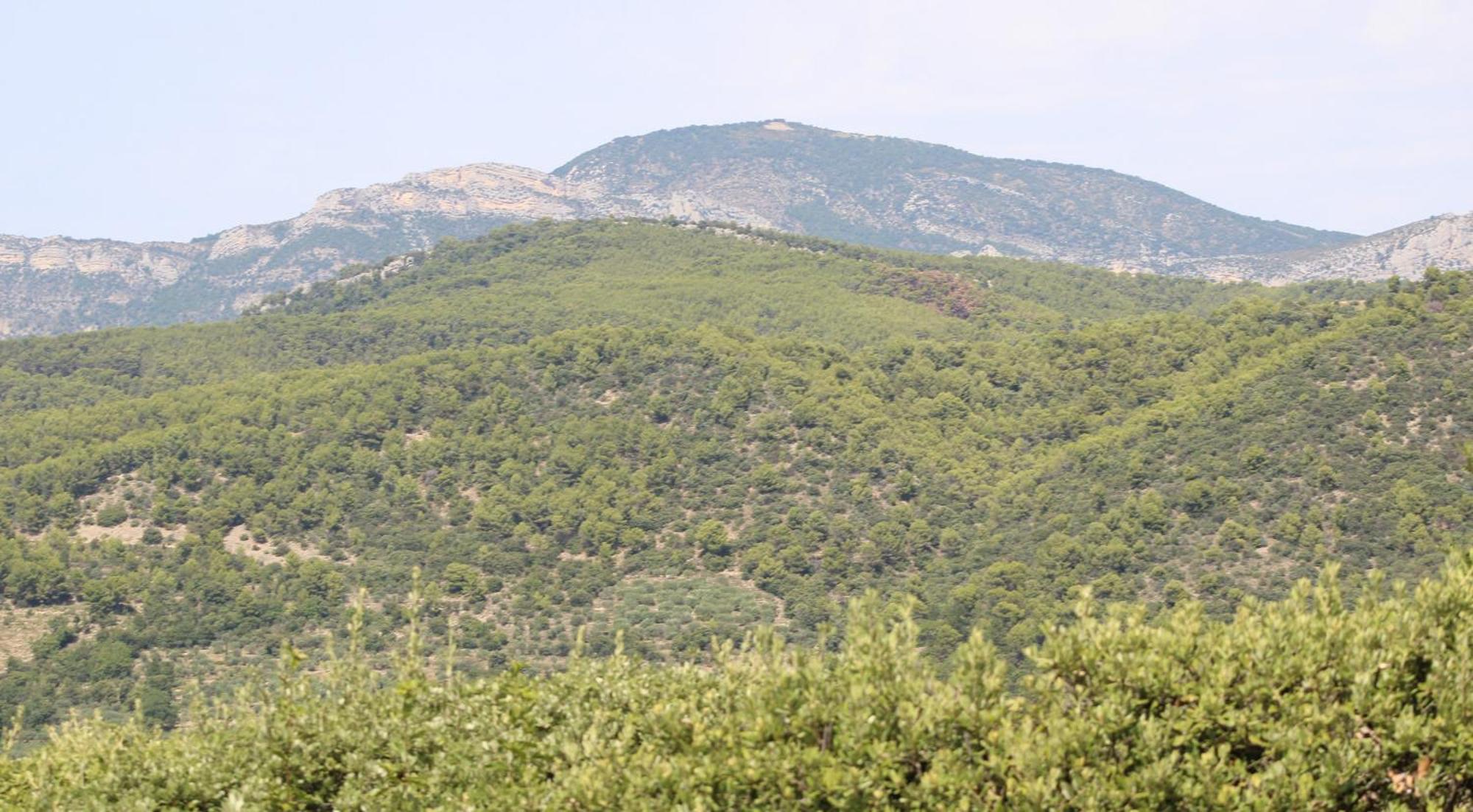 הוילה Mollans-sur-Ouvèze Le Pas Du Ventoux מראה חיצוני תמונה