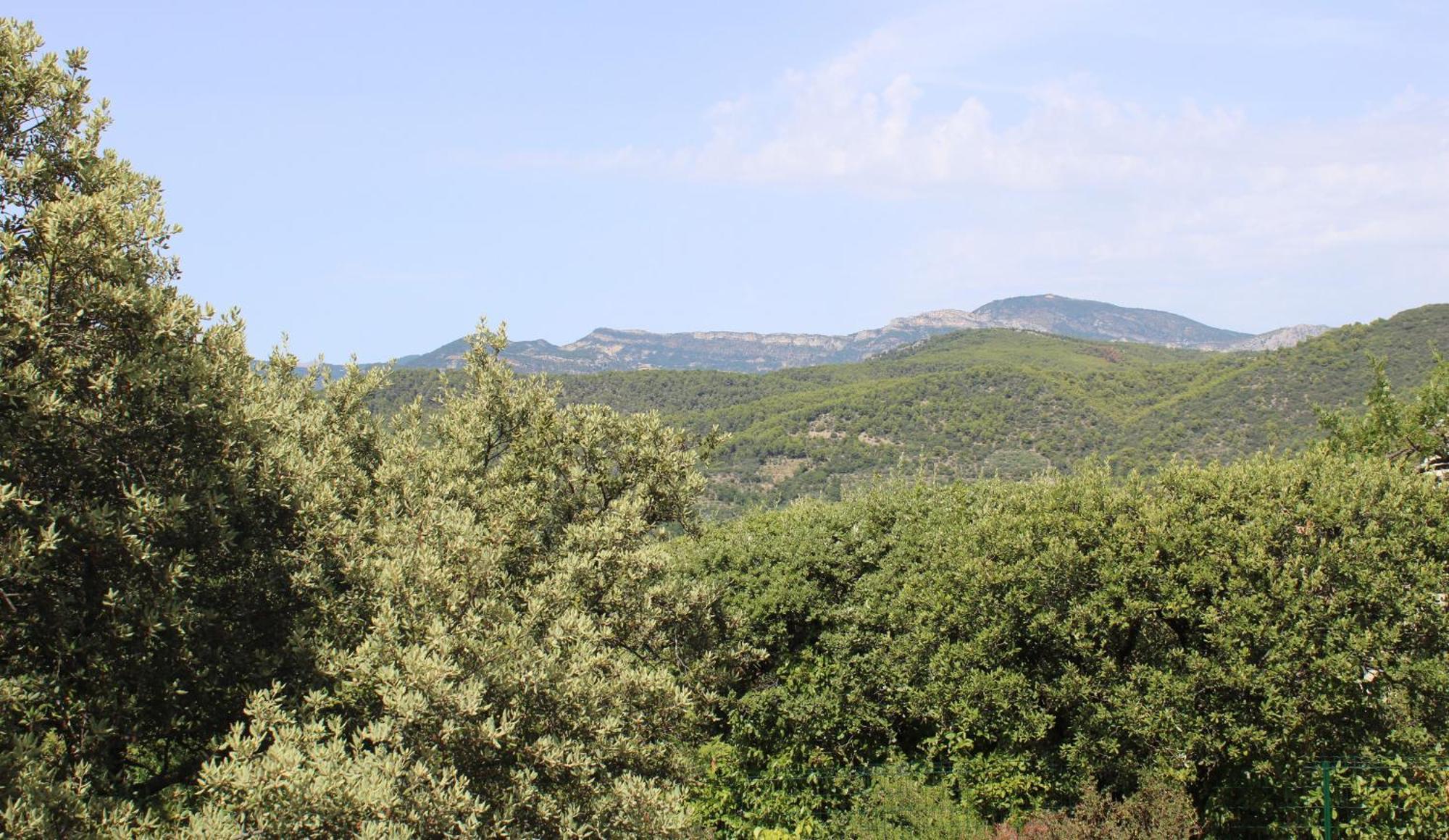 הוילה Mollans-sur-Ouvèze Le Pas Du Ventoux מראה חיצוני תמונה